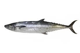 Seer Fish